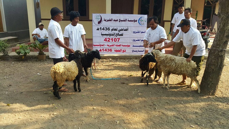 Yayasan Ash-Shilah Tebar Hewan Qurban ke Berbagai Provinsi